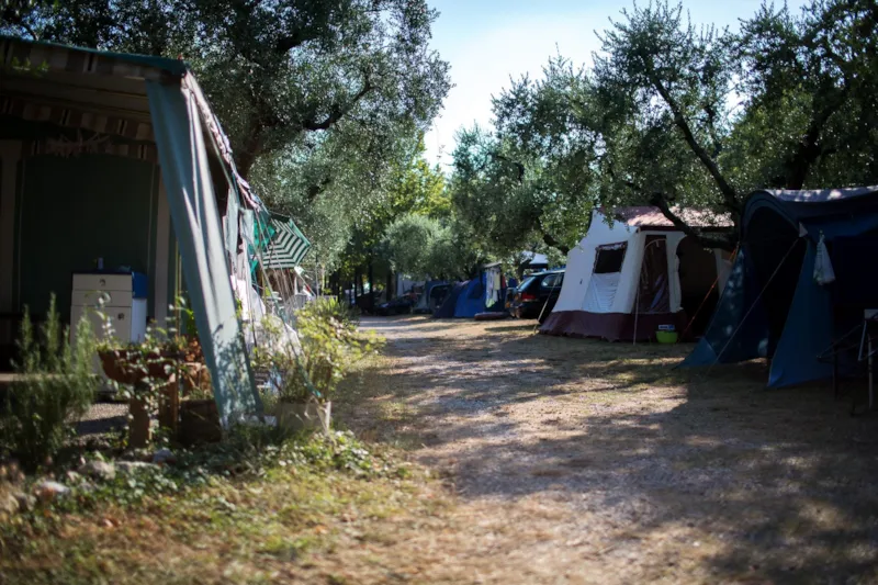 Emplacement + Tente, Caravane Ou Camping-Car + 1 Véhicule + Électricité