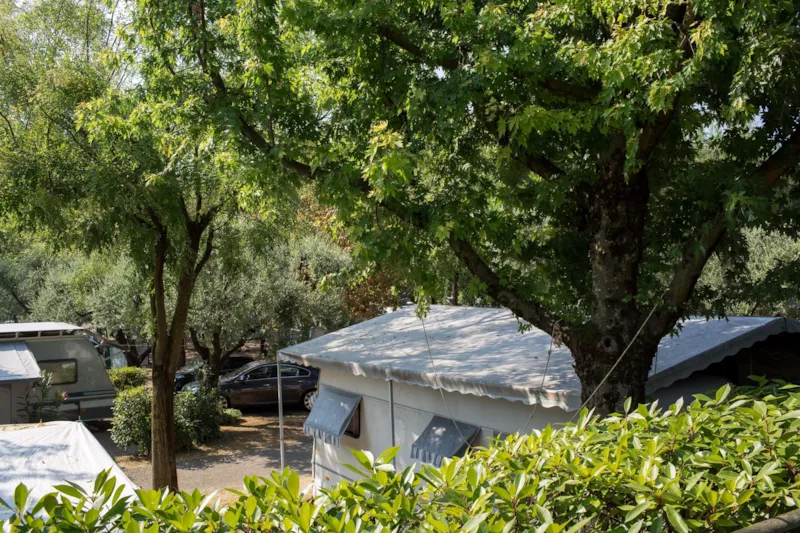 Emplacement Special Plus De 60 Ans + Tente, Caravane Ou Camping-Car + 1 Véhicule + Électricité