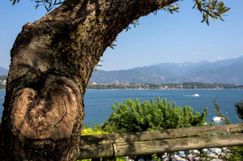 Emplacement Vue Lac Plus