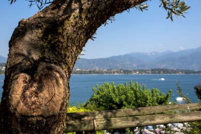Pitch with lake view Plus — 2