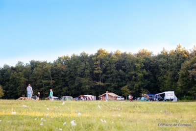 Comfort Pitch XXL including 2 people, 1 car and electricity 10A — 2