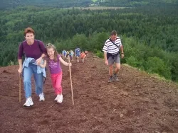 Camping Les Fougères - Le Domaine du Marais
