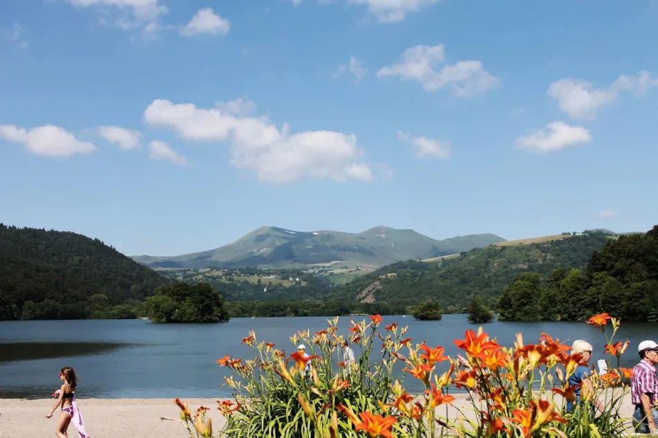 Camping Les Fougères - Le Domaine du Marais