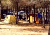 Piazzola Tenda Media Piazzola Tenda Media