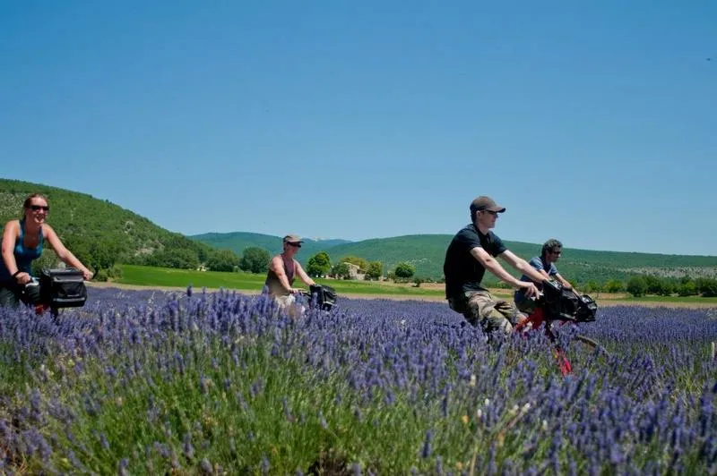 Camping Sunêlia L'Hippocampe
