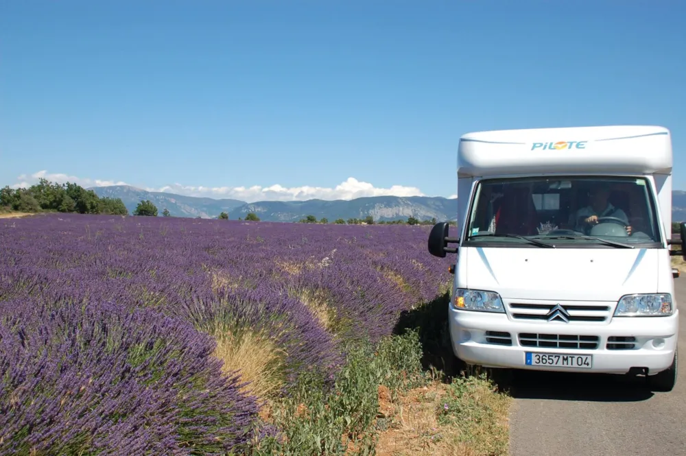 Camping Sunêlia L'Hippocampe