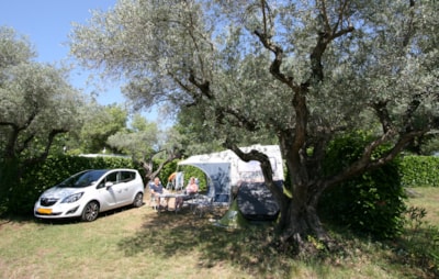 Comfort pitch 100m² — 1