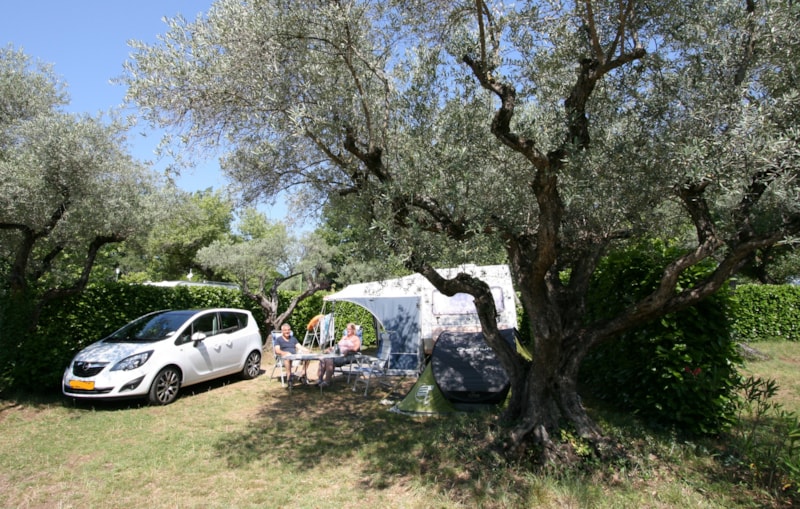 Piazzola Confort 100m²