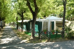 Kamperplaats Tent - Caravan - Camper