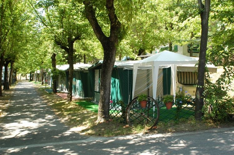 Kamperplaats Tent - Caravan - Camper