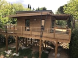 Gite Legna Nel Cuore Della Foresta Gite Legna Nel Cuore Della Foresta