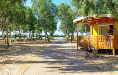 Mobile-home Baia Relax New — 3