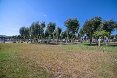 Pitch Premium — 2