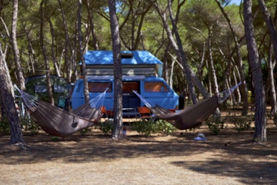 Pitch Pineta Platz — 2
