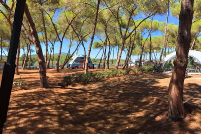 Pitch Pineta Platz — 3