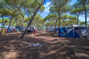 Emplacement - Emplacement Type A - Baia Holiday Laguna Blu