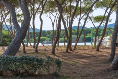 Pitch Pineta Platz — 6
