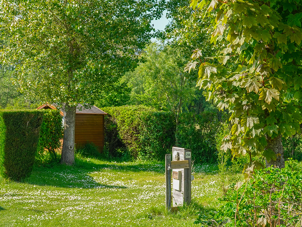 Camping les 3 Sablières — Photo 7