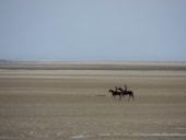 Camping Les 3 Sablières