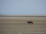 Foto #13 van Camping Les 3 Sablières