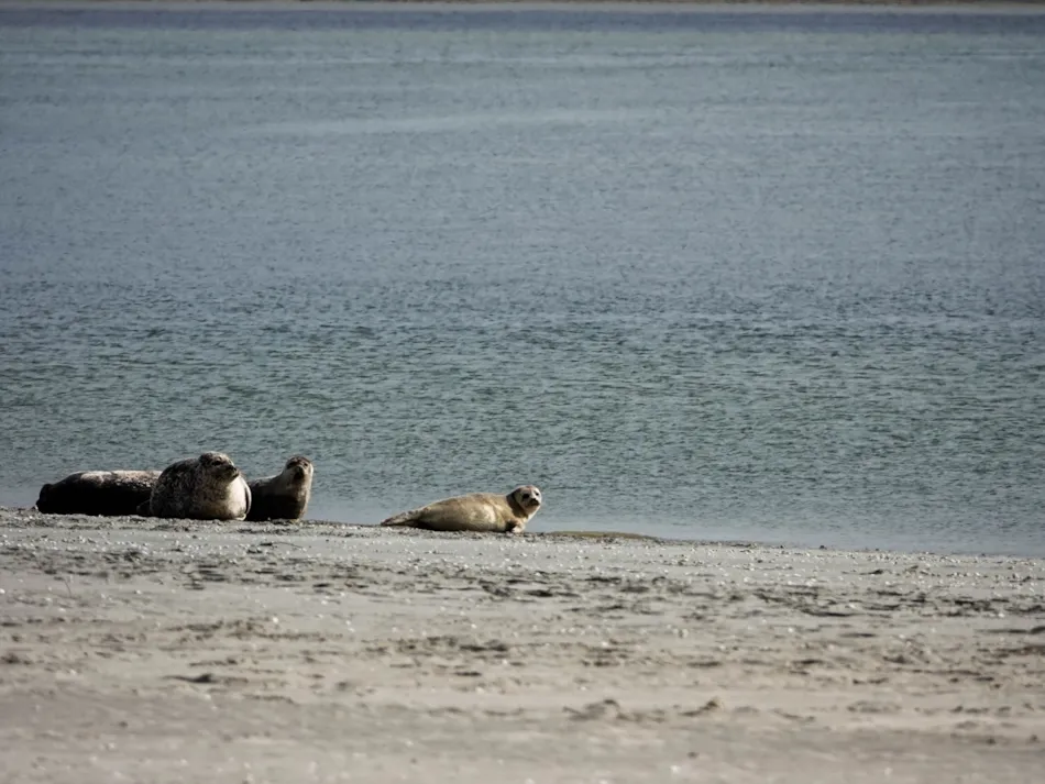 Camping Les 3 Sablières