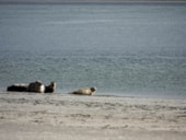 Camping Les 3 Sablières