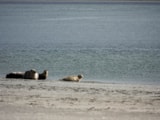Foto #14 van Camping Les 3 Sablières