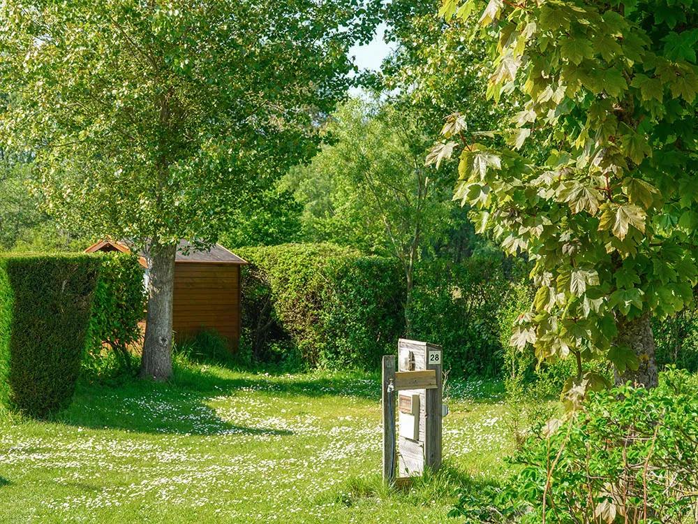 Emplacement - Emplacement - Camping les 3 Sablières