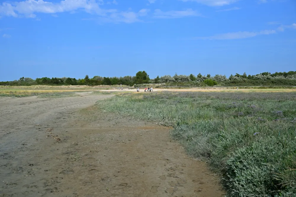 Camping les 3 Sablières