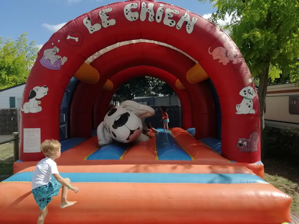 Camping Domaine des Salins