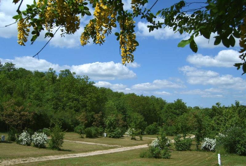 Château de Lacomté — Photo 9