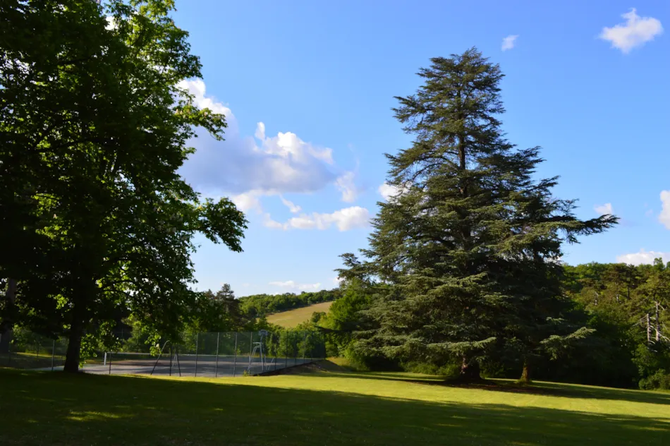 Château de Lacomté