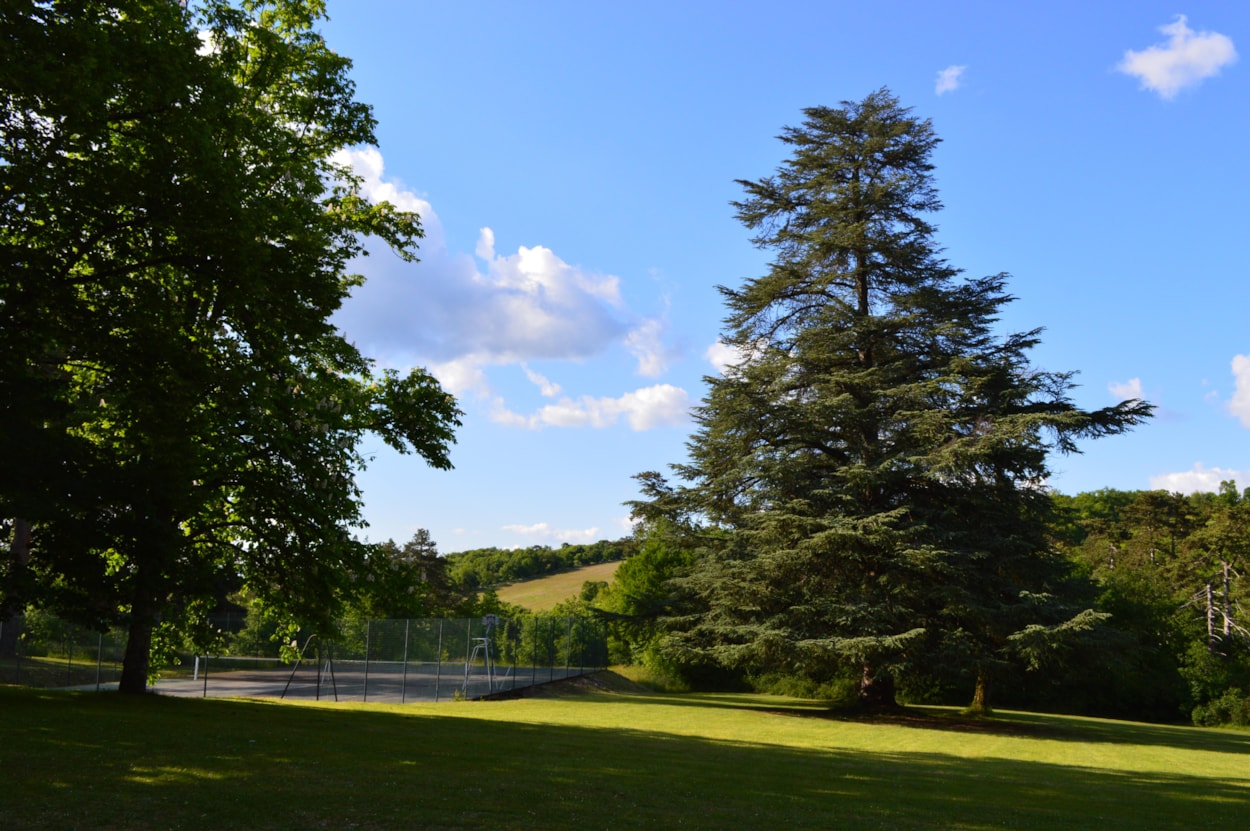Château de Lacomté
