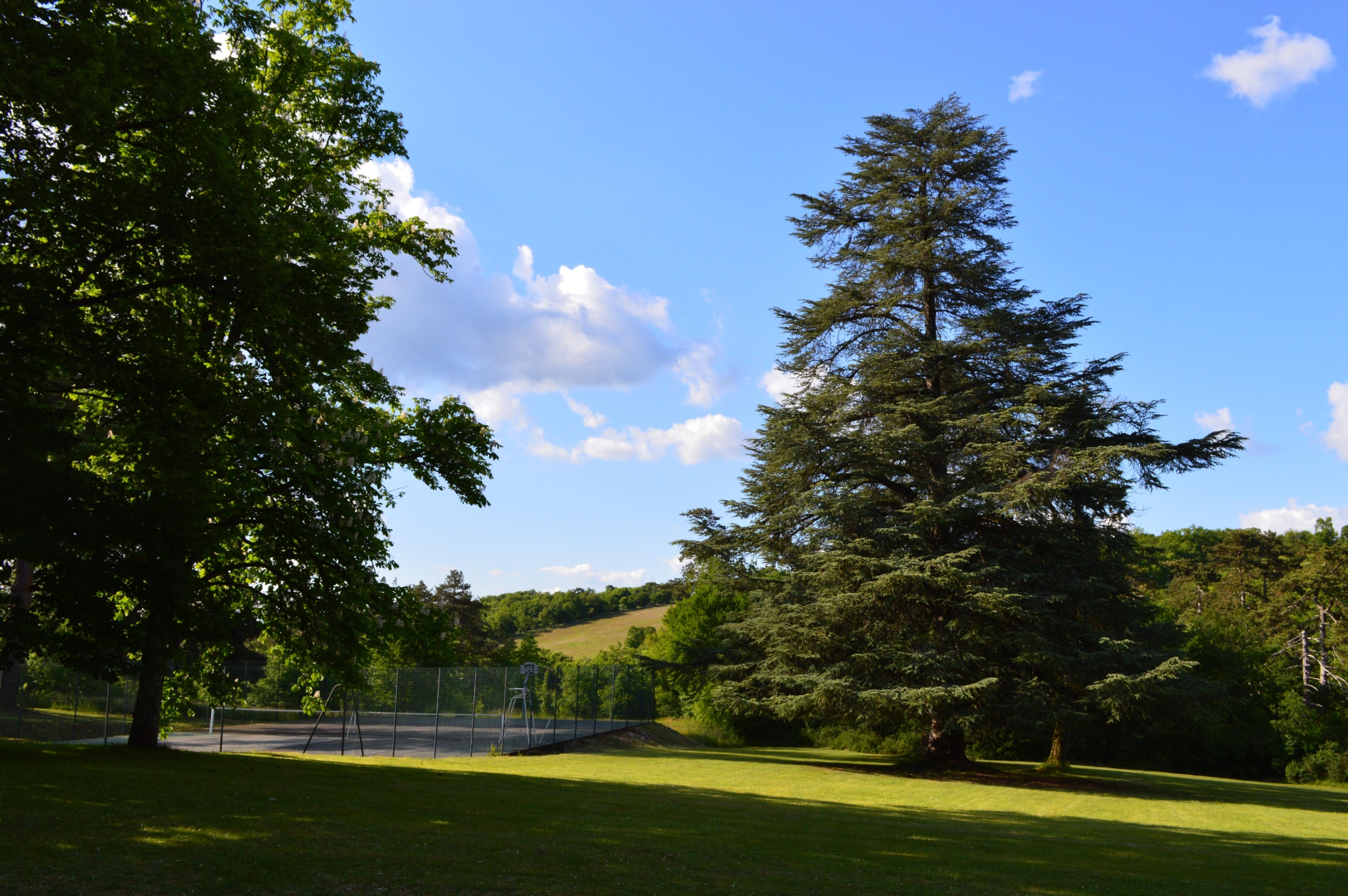 Château de Lacomté — Photo 10