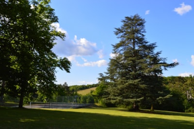 Château de Lacomté