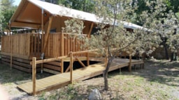 Location - Tente Lodge 2 Chambres  ( Avec Sdb) - Camping Les Blimouses