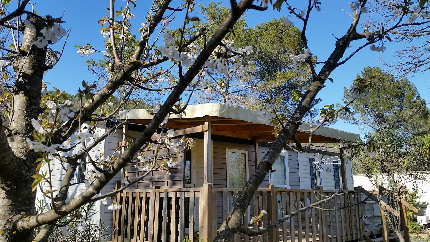 Accommodation - Mobile-Home Premium 2  Bedrooms - Camping Les Blimouses