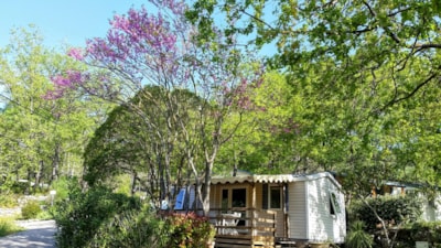 Mobile-home adapted to the people with reduced mobility 2 bedrooms with airconditionning