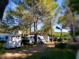 Kampeerplaats(en) - Kampeerplaats Auto Tent/Caravan + Elektriciteit 10A - Camping Domaine Villa Verde
