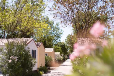 Camping Port Pothuau - image n°2 - Camping Direct