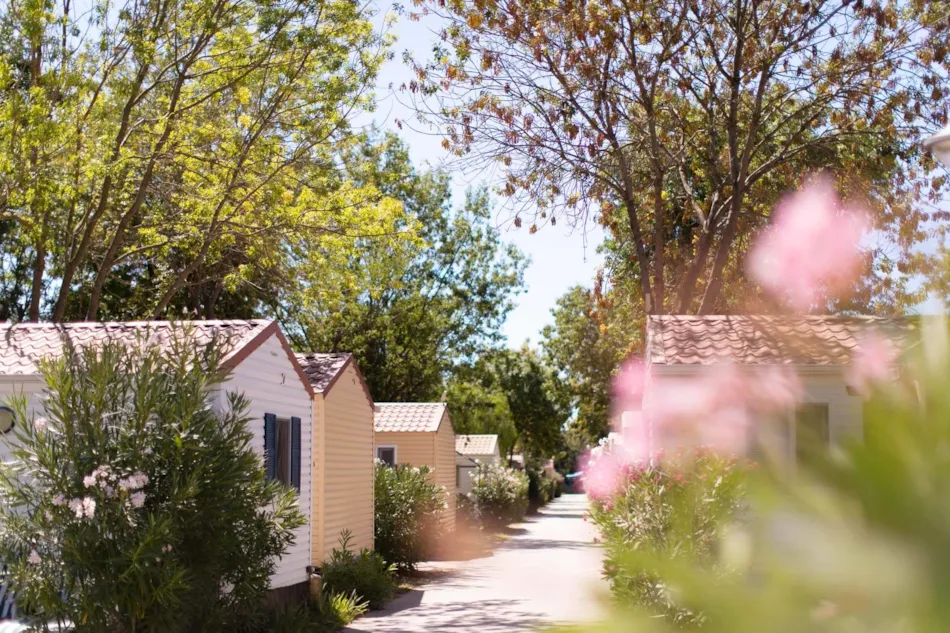 Camping Port Pothuau