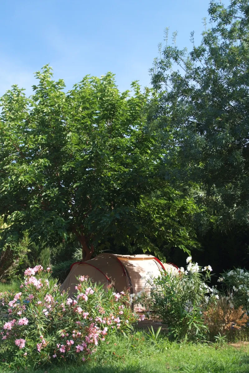 Emplacement Confort+  80M²