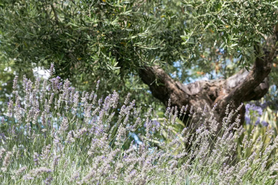 Capfun - Camping Le Grand Calme
