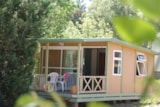 Cottage Mini (Clim) Cottage Mini (Clim)