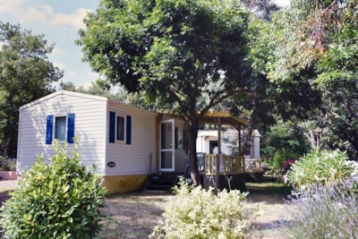 Cottage Confort Lavande