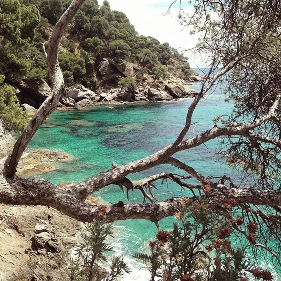 Camping Sunêlia L'Argentiere