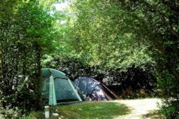 Kampeerplaats(en) - Standplaats Kleine Tent + Auto (Max 90M²) - Capfun - Le Patisseau
