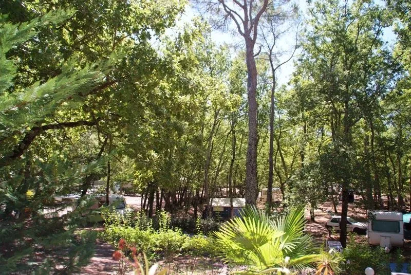 Emplacement Caravane / Tente + 1 Voiture + 10A