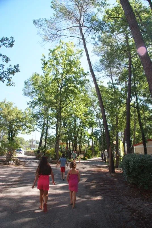 Emplacement Caravane / Tente + 1 Voiture + 10A