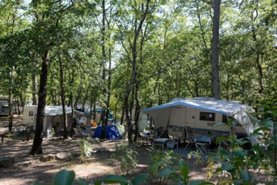 Pitch Caravan / Large tent + 1 Car + 10A — 3